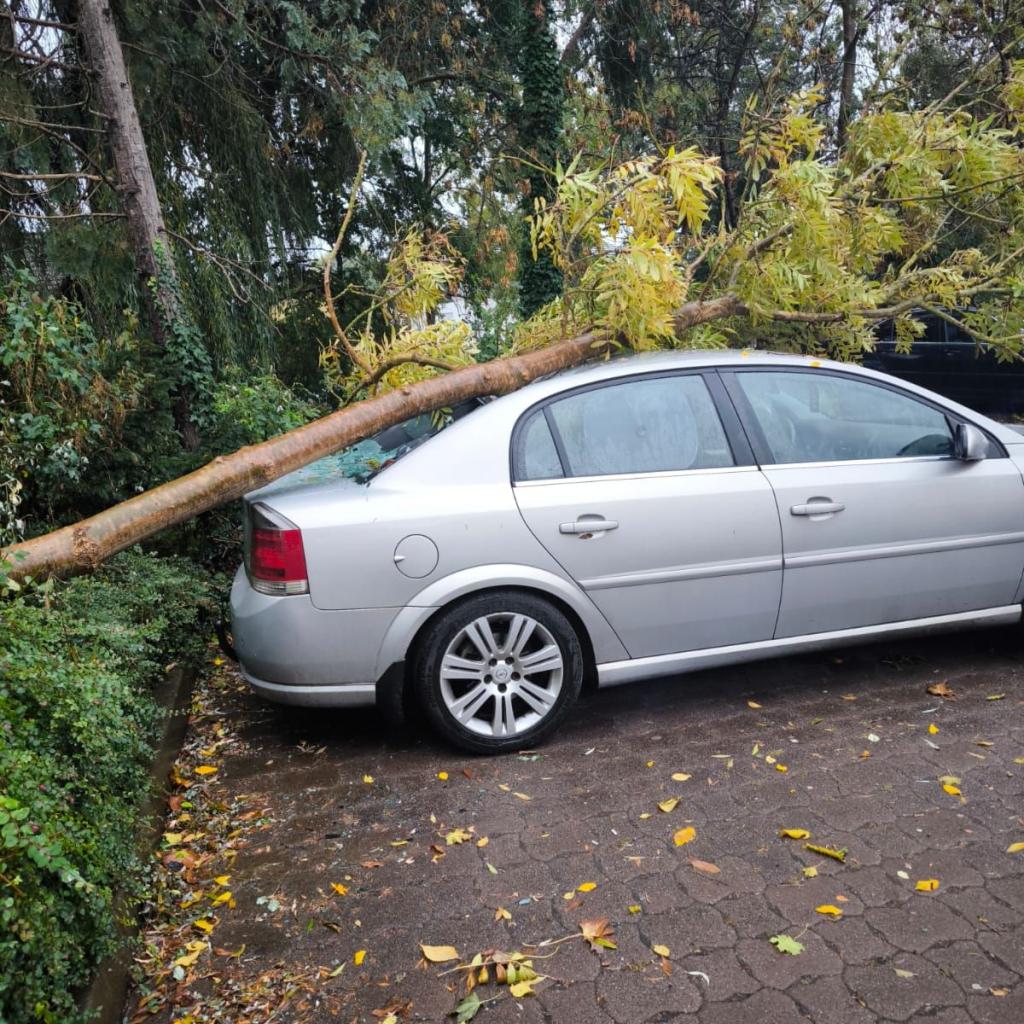 Einsatz 04.10.2025 01