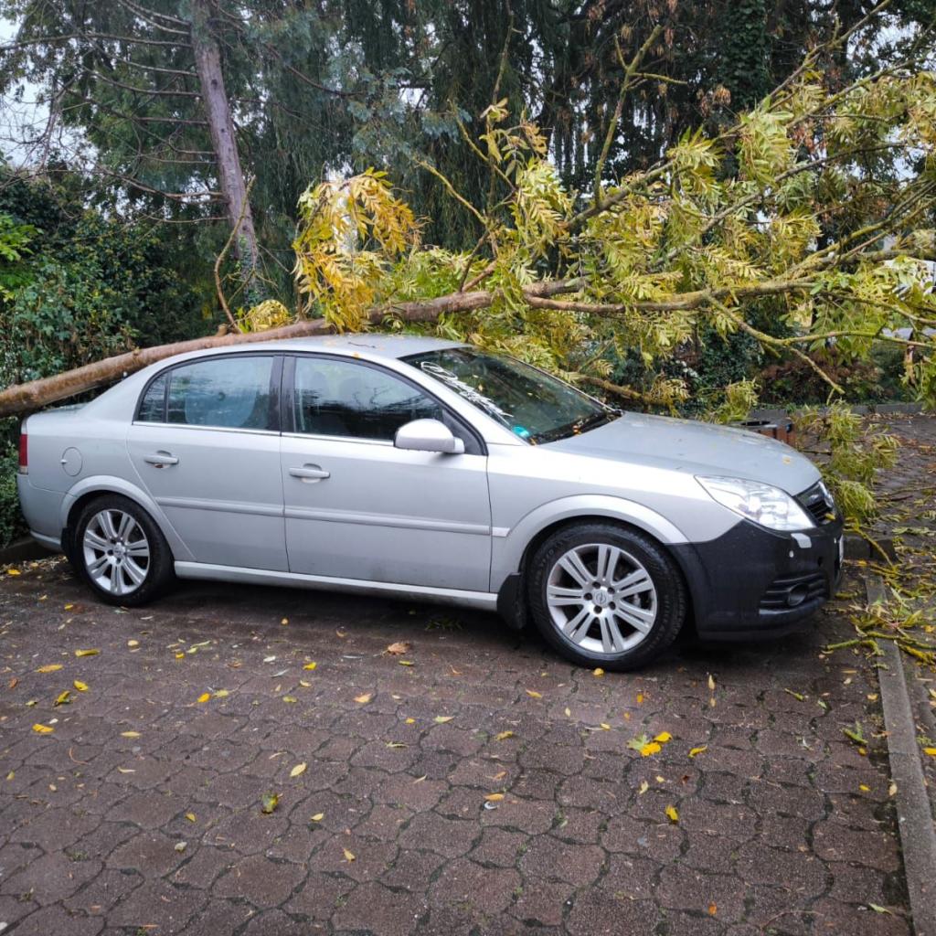 Einsatz 04.10.2025 04